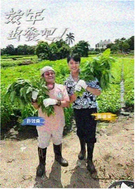 徒步一千公里旅行综艺免费观看